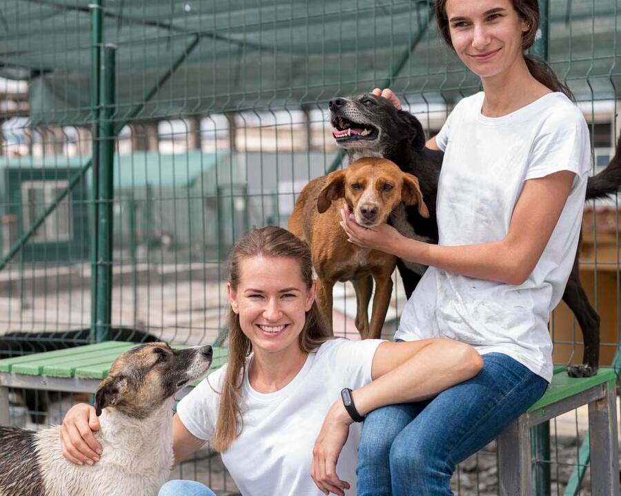 Día del perro adoptado: Kärcher y la limpieza de albergues