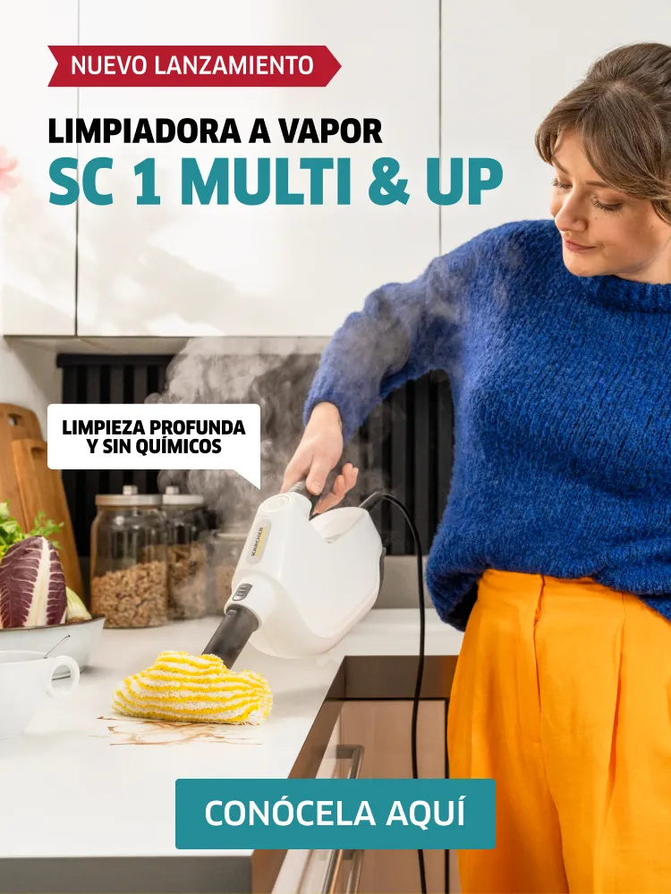 descarga (1)
