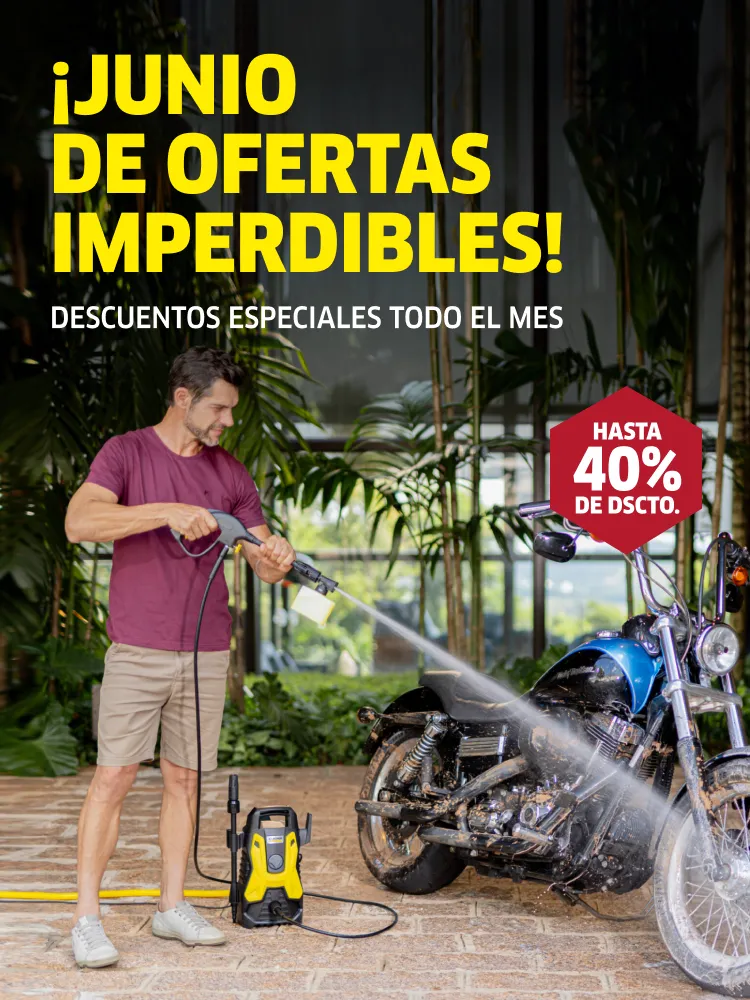 descarga (2)