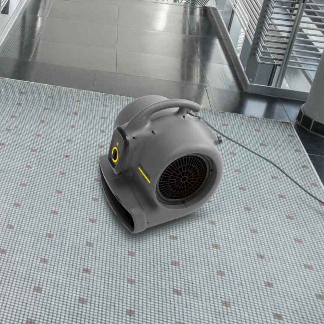 Sopladora secadora AB30 520W Karcher 1.004 058.0 4 Sopladora secadora AB30 520W Karcher - Imagen 4