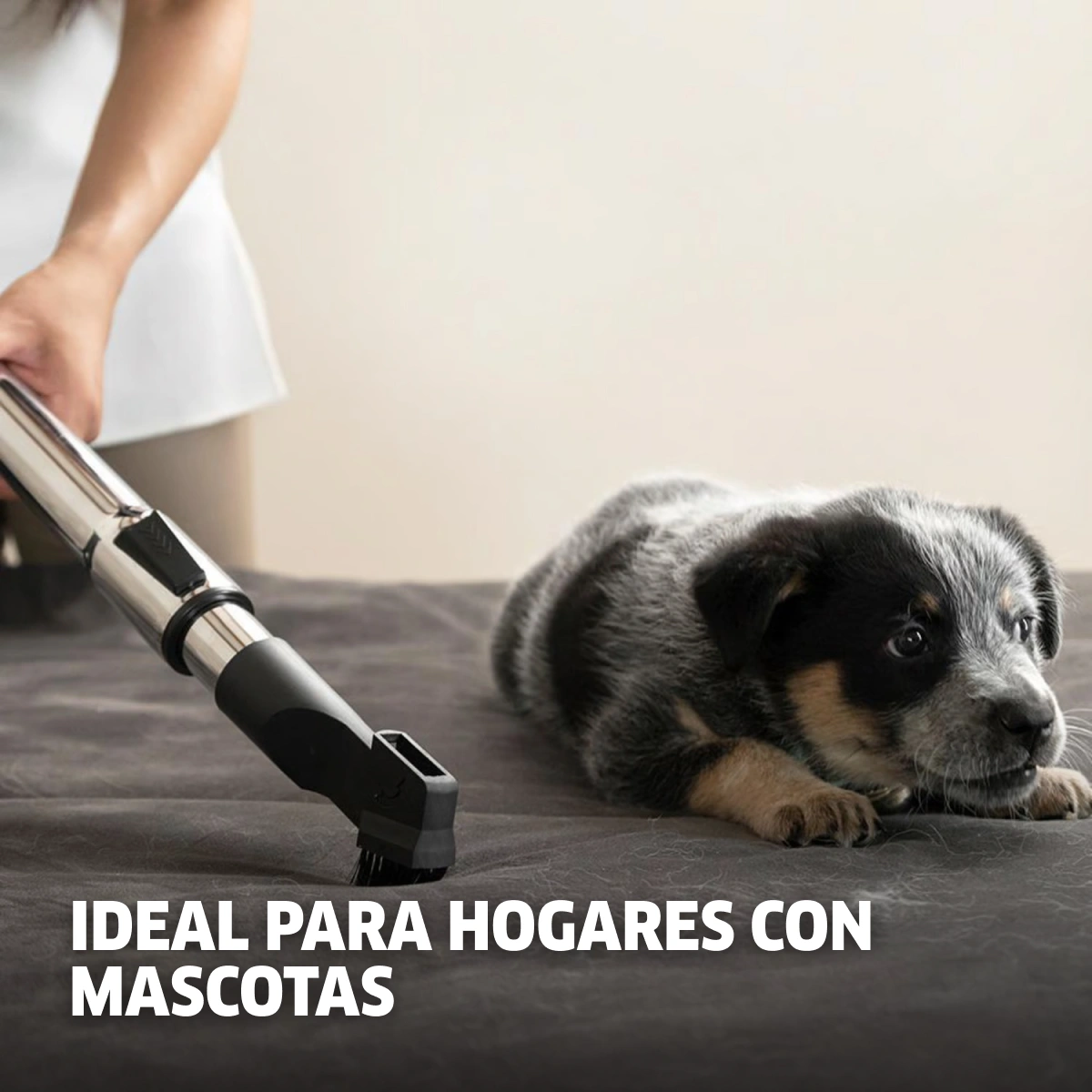 Aspiradora de polvo VCL3 Cyclonic 1000W Karcher Aspiradora de polvo VCL3 Cyclonic 1000W 1.5L Karcher 4 Aspiradora de polvo VCL3 Cyclonic 1000W Karcher - Imagen 6