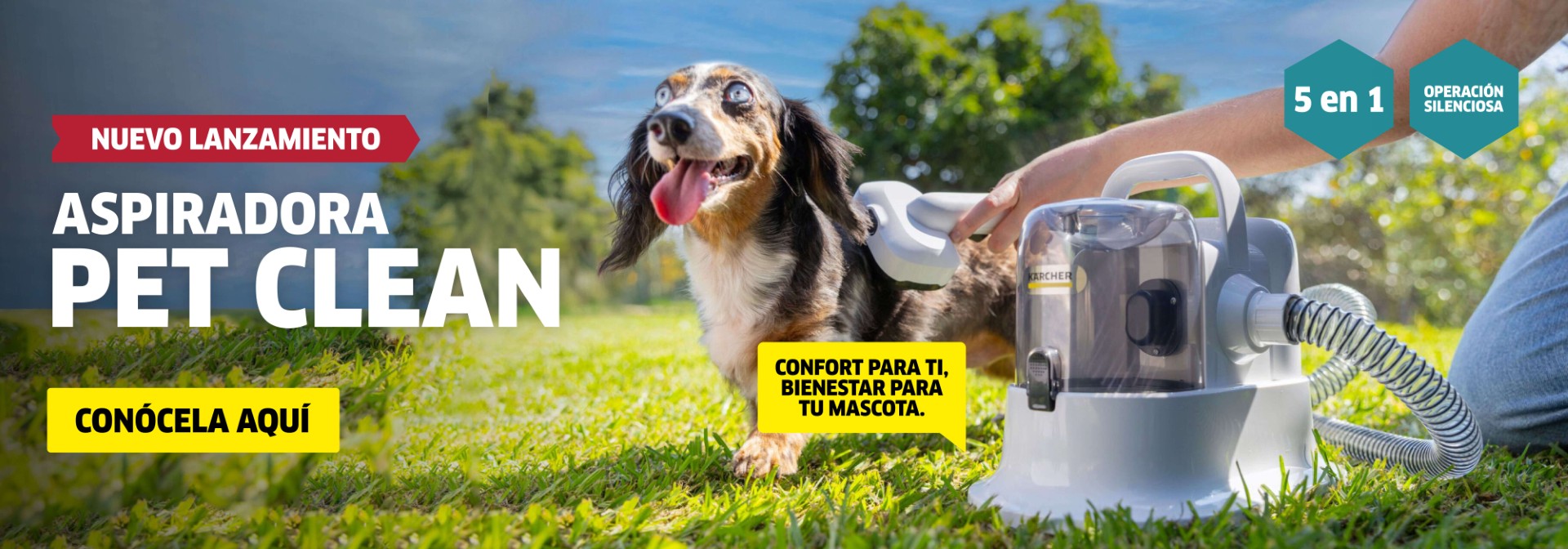 Copia de Banner web - principal