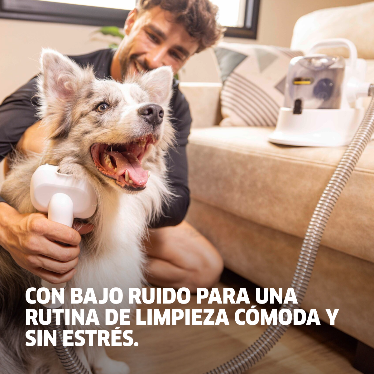 Pack Aspiradora y cortapelos Pet Clean + Collar de mascotas 9301 1470 5 1 0589c798 53aa 4c81 bb80 0c9a0e7a9ed3 Pack Aspiradora y cortapelos Pet Clean + Collar de mascotas - Imagen 6