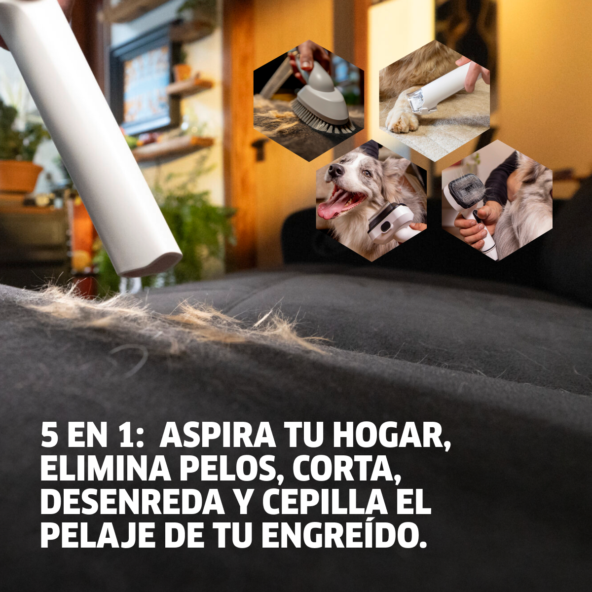 Pack Aspiradora y cortapelos Pet Clean + Collar de mascotas 9301 1470 6 1ec2f82e 37fb 4fb6 bb80 a118ccc88a65 Pack Aspiradora y cortapelos Pet Clean + Collar de mascotas - Imagen 7