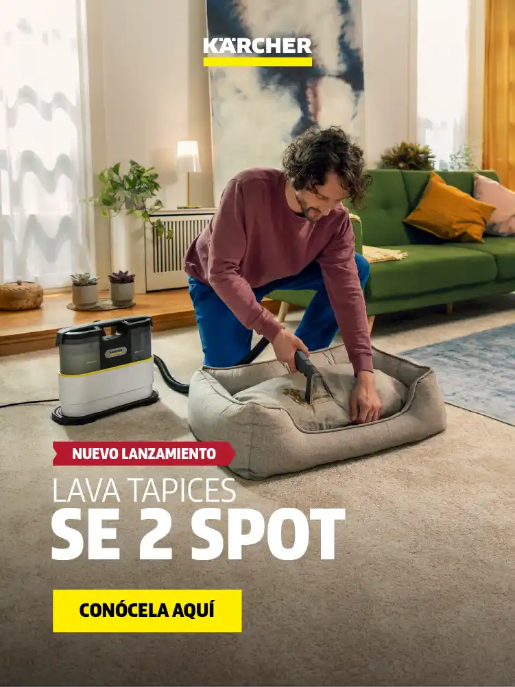 SE 2 SPOT (2)